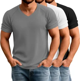 Riyiper 3 Pack Men's Muscle T Shirts Slim Fit Workout Bodybuilding Tees Ribbed Knit Textured V Neck Short Sleeve Tee Shirts